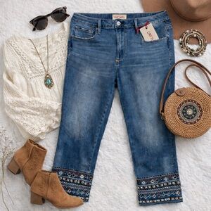 NWT Driftwood Colette Blue Embroidered Women's Jeans Size 31 x 26